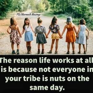 Meet your Posher, Jo